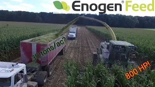 Chopping Corn Silage!!! (Full Video) - #495