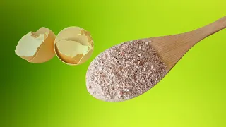 Just 1 teaspoon a day - Strengthen Bones and Joints - with eggshell calcium powder