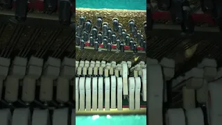 What the inside of a piano looks like