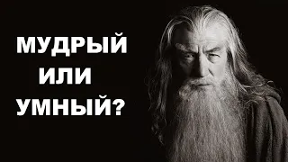 7 признаков МУДРОГО ЧЕЛОВЕКА. В чем отличие мудрого человека от умного