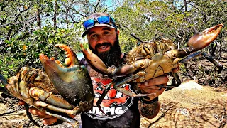 48 Hours With NO FOOD - A Man and His Dog  #survival #fishing #mudcrab