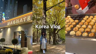 Korea Vlog | Nami Island, Petite France, Rail Park, Bay 101 and Magnate Cafe