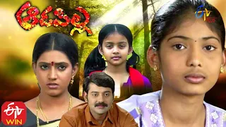 Aadapilla  | 19th November 2020  | Full Episode 156 |  ETV Plus