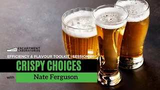 How to Brew Crispy Lagers | Efficiency & Flavour Toolkit Series