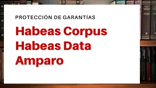 Habeas Corpus, Habeas Data y Acción de Amparo