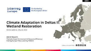 Wetland restoration