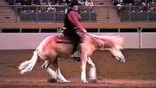 2000 National Western Stock Show Freestyle Reining - Drake Johnson