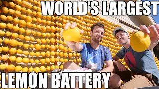 (हिंदी) World's Largest Lemon Battery