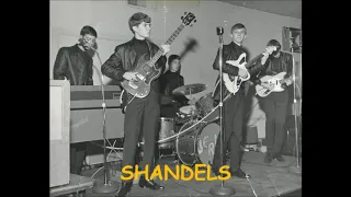 SHANDELS "Caroline" GARAGE punk classic!