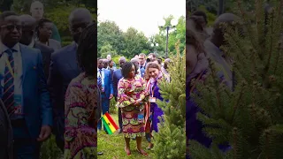 Когда посадил елку вместе с Африканскими Президентами 🥰  #м24  #москва24  #сортировочная