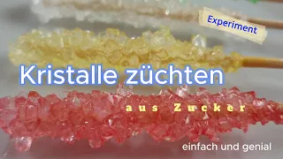 Forsche mit uns! Kristalle züchten: Zuckerkristalle - Checky Febr.2024