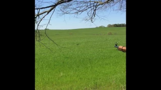 Mosin Nagant Shooting (400 Yards)