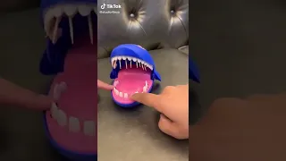 Shark Toy