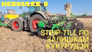 STRIP TILL робота по стерні кукурудзи