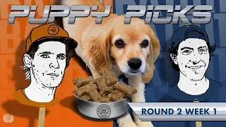 BATB 11 | Puppy Picks - Round 2: Week 1