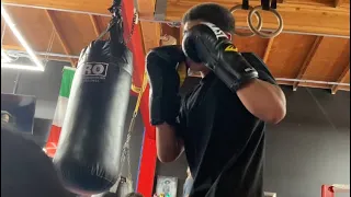 In A Boxing Gym | Day 2 🥊