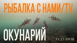 ПЕРВЫЙ ЛЁД! ЛОВИМ ОКУНЯ НА МОРМЫШКУ, КАМЕРА ПОДО ЛЬДОМ! АТАКА ОКУНЯ НА МОРМЫШКУ! РЫБАЛКА НА УРАЛЕ!