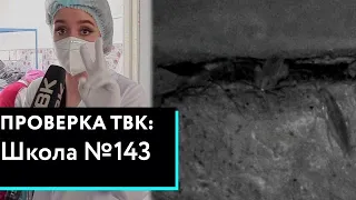 «Проверка» ТВК снова в красноярской школе №143 на Урванцева