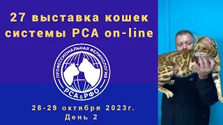 27-я выставка кошек PCA формата on-line 28-29.10.2023г. День 2