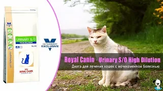 Диета для кошек при лечении мочекаменной болезни · Royal Canin Urinary S/O High Dilution