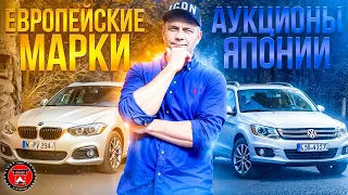 Японский аукцион автомобилей  Обзор машин