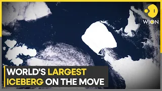 World's largest iceberg, A23a on the move | WION