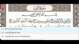 95 - Surah At Tin - Dr Ayman Suwayd - Teacher - Learn Quran Tajweed