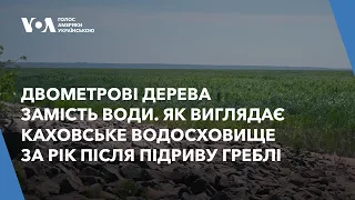 Двометрові дерева замість води. Вигляд Каховки за рік після підриву греблі