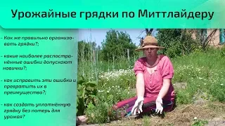 Урожайные грядки по Миттлайдеру.