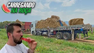 CARREGAMENTO DA MELANCIA EM URUANA-GO PENSE NUM CARGÃO😱