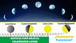 AGRICULTURA bajo el CALENDARIO LUNAR | ¿Realmente funciona?🌝🗓️🌱