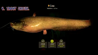 ► • ✔ Русская рыбалка 4 (RF4): ✯ Трофей. Сом, 100,625 KG. ✯ ♦ ✅ (TROPHY CATFISH). ♦ • ◄ #рр4