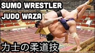 Japans Sumo-Ringer werden immer schwerer - Gesundheitsprobleme