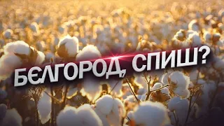 НЕСПОКІЙНА ніч у ХАРКОВІ / У БЄЛГОРОДІ пролунала серія гучних вибухів