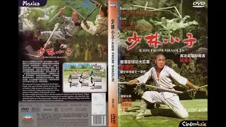 Shaolin Temple 2