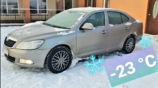 Skoda Octavia 1.6 TDI -21°C (-6 °F) Extreme Cold Start (Lietuva šalta žiema)