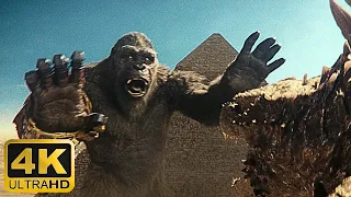 Godzilla fights Kong in Egypt - 4K Scene (2/2) - Godzilla x Kong: The New Empire
