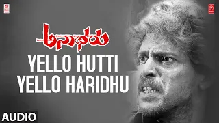 Yello Hutti Yello Haridhu Song | Anatharu Kannada Movie | Upendra, Darshan, Radhika | Hariharan