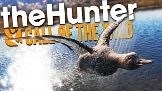 The Hunter Call Of The Wild | DUCK & COVER!!