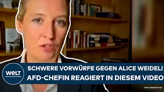 ALICE WEIDEL: Schwere Vorwürfe! Die AfD-Bundeschefin reagiert in diesem Video!