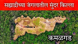 कमळगड किल्ला 😍 भयंकर जंगलातील २ तासांचा थरारक ट्रेक  Kamalgad Fort / Sahyadri Trekking / Killa