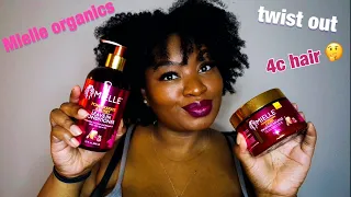 Mielle organics leave-in & twisting soufflé| Twistout on 4chair