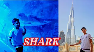 DUBAI MALL AQUARIUM | Burj Khalifa | Dubai Travel - part 1