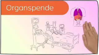 Organspende in 3 Minuten erklärt