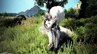 Black Desert online.Новости с ПТС(Global Lab)