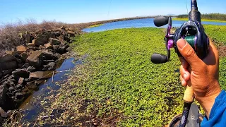 1 HOUR of Kayak Fishing on the California Delta (Raw/uncut footage)