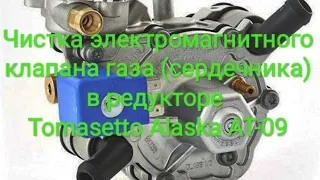 Чистка электромагнитного клапана газа (сердечника) в редукторе Tomasetto Alaska AT-09