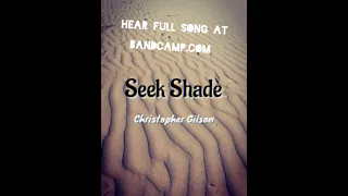 SEEK SHADE - CHRISTOPHER GILSON