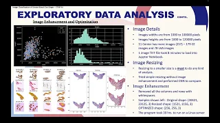 Image Classification for Stroke Blood Clot Origin Data