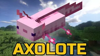 5 Curiosidades Sobre o Axolote do Minecraft | #Shorts